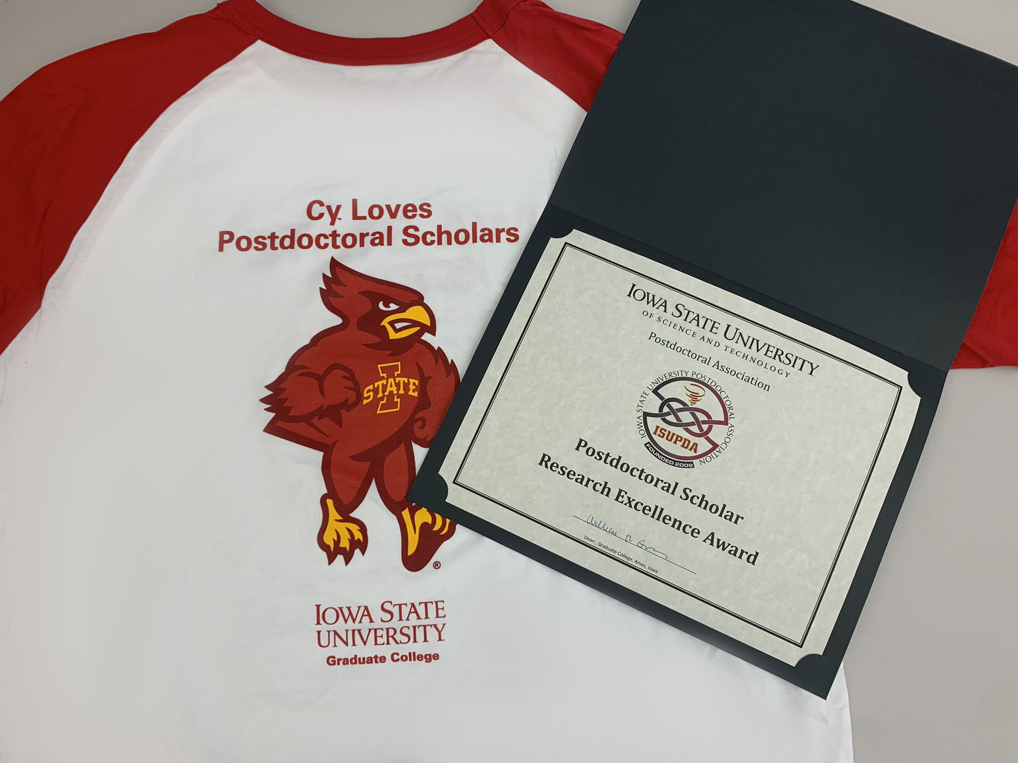 Postdoctoral Research Award on shirt