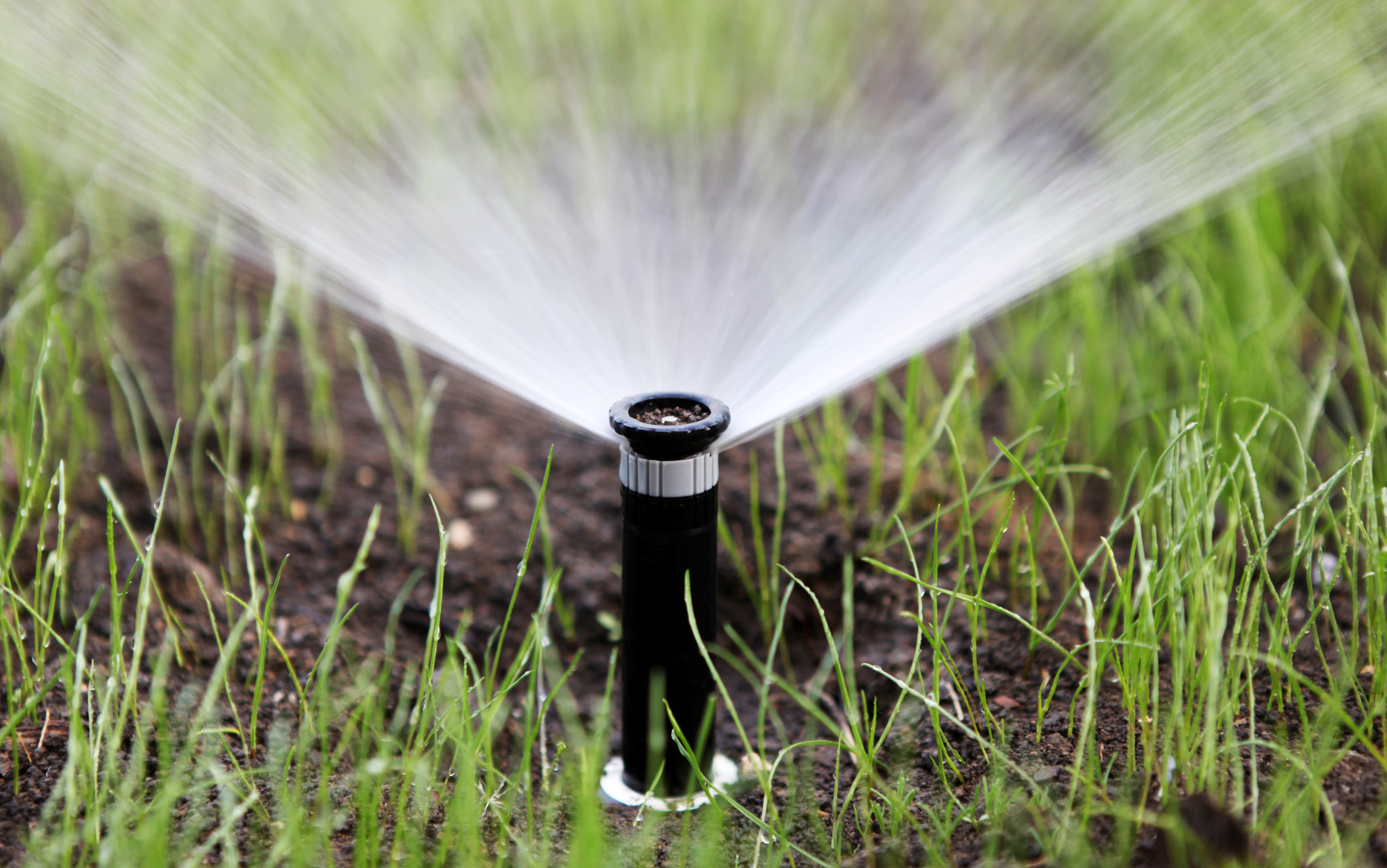 Sprinkler of automatic watering
