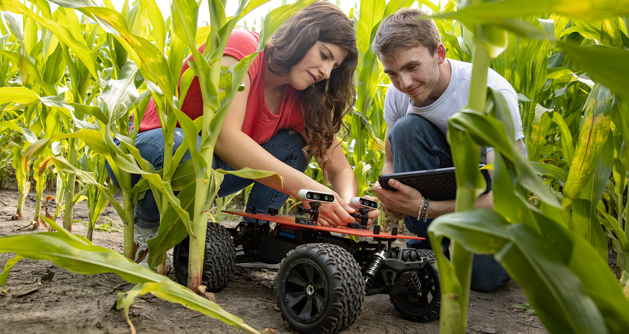 students working in a field