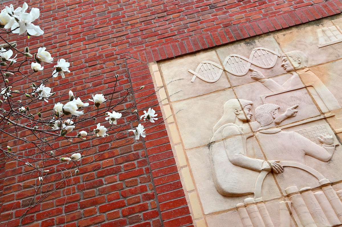 brick wall with ornate image