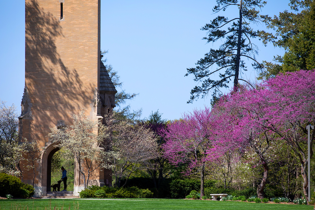 Redbuds and vibrant spring colors on central campus, April 22, 2021.  (Christopher Gannon/Iowa State University)