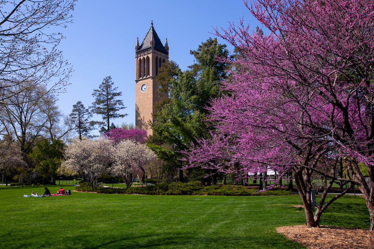 Redbuds and vibrant spring colors on central campus, April 22, 2021.  (Christopher Gannon/Iowa State University)