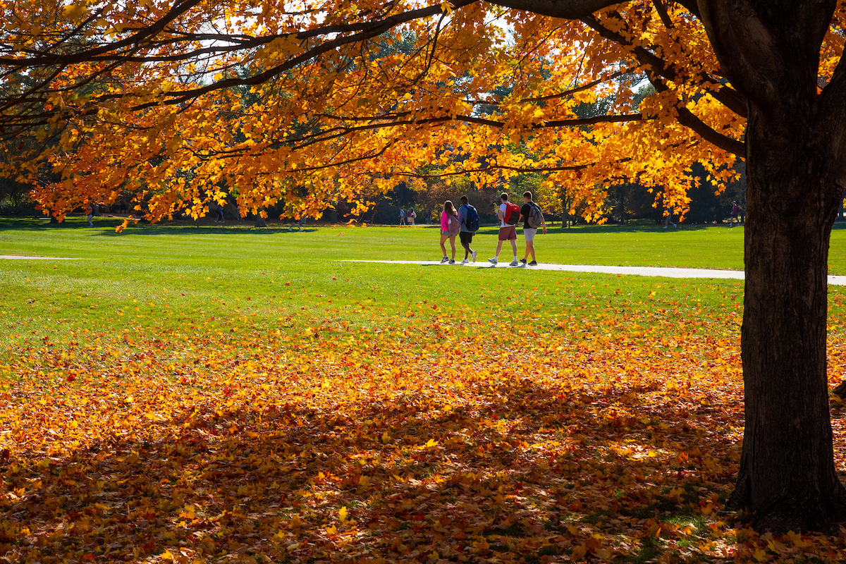 Central Campus fall colors, 2023. (Christopher Gannon/Iowa State University)