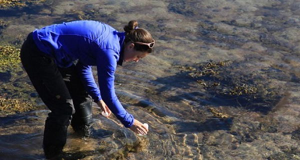 person collecting sample from water