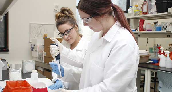 scientists