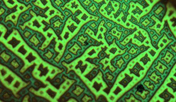 Condensed matter physics