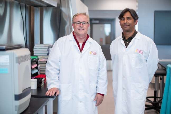 Phillip Gauger, left, and Rahul Nelli in a laboratory in the Veterinary Diagnostic Laboratory. Photo by Christopher Gannon/Iowa State University.