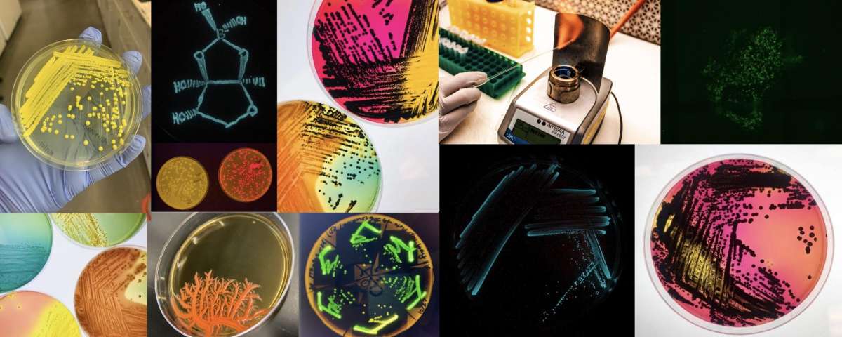 Microbiology